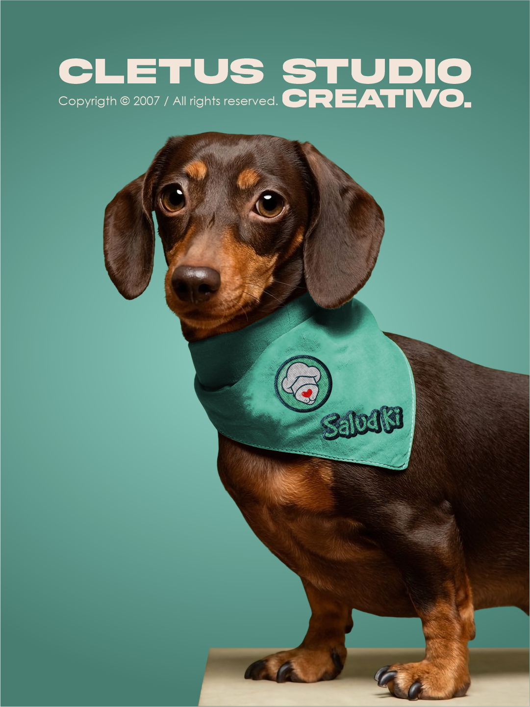 Cletus portfolio 1